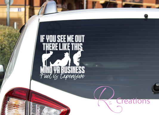Car / Truck decal. "Pole dancer, Mind your business"