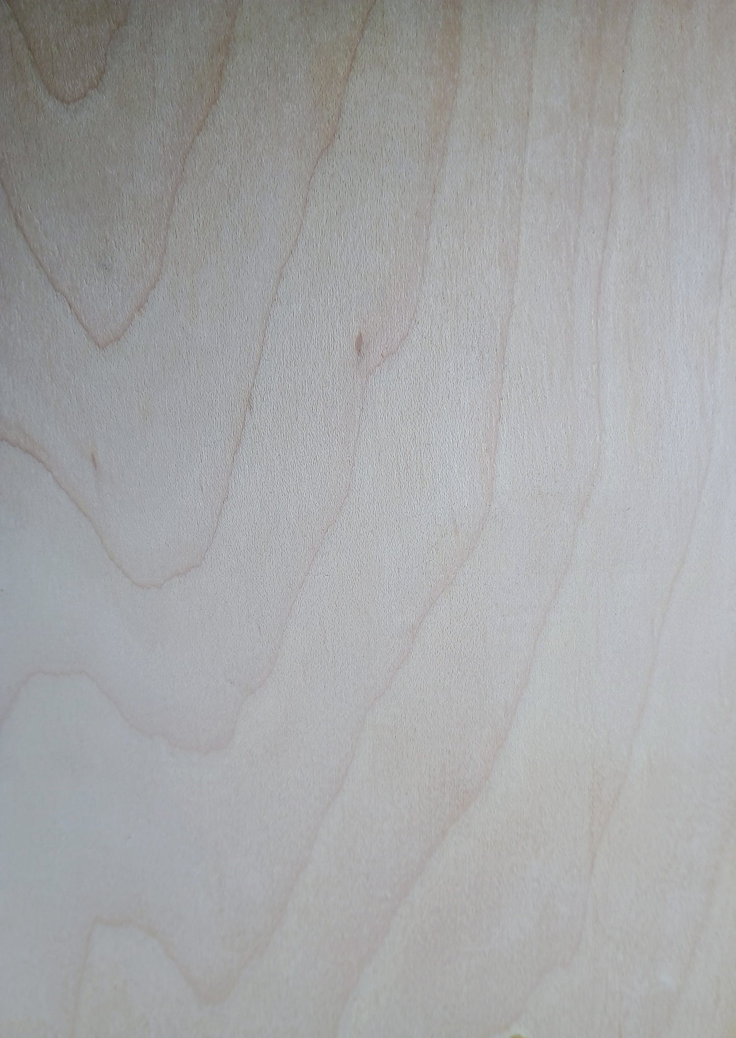 Lint roller hanger, Pet lovers, Wall hanger